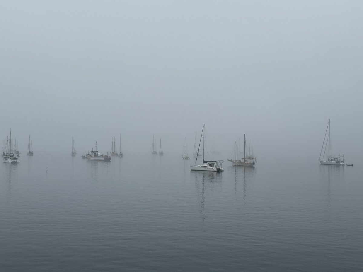 Fishing boats in the fog on the shore of Port Townsend, WA.