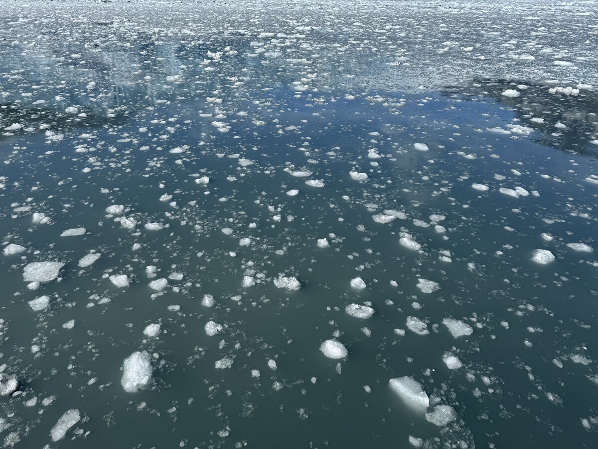 Bits of ice floating in the water near Aialik Glacier in Kenai Fjords National Park, Alaska.