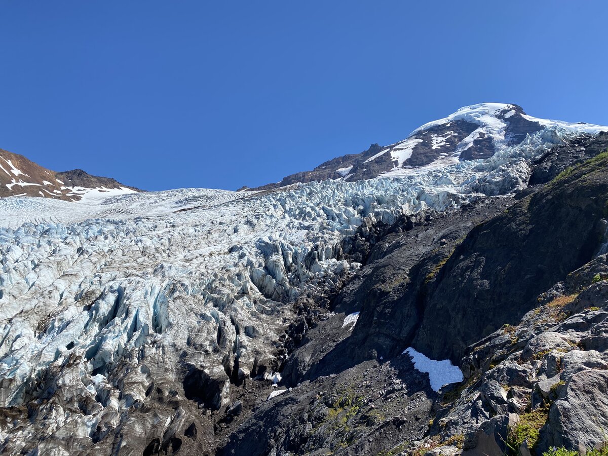 Coleman Glacier on Mount Baker, as seen from Heliotrope Ridge.