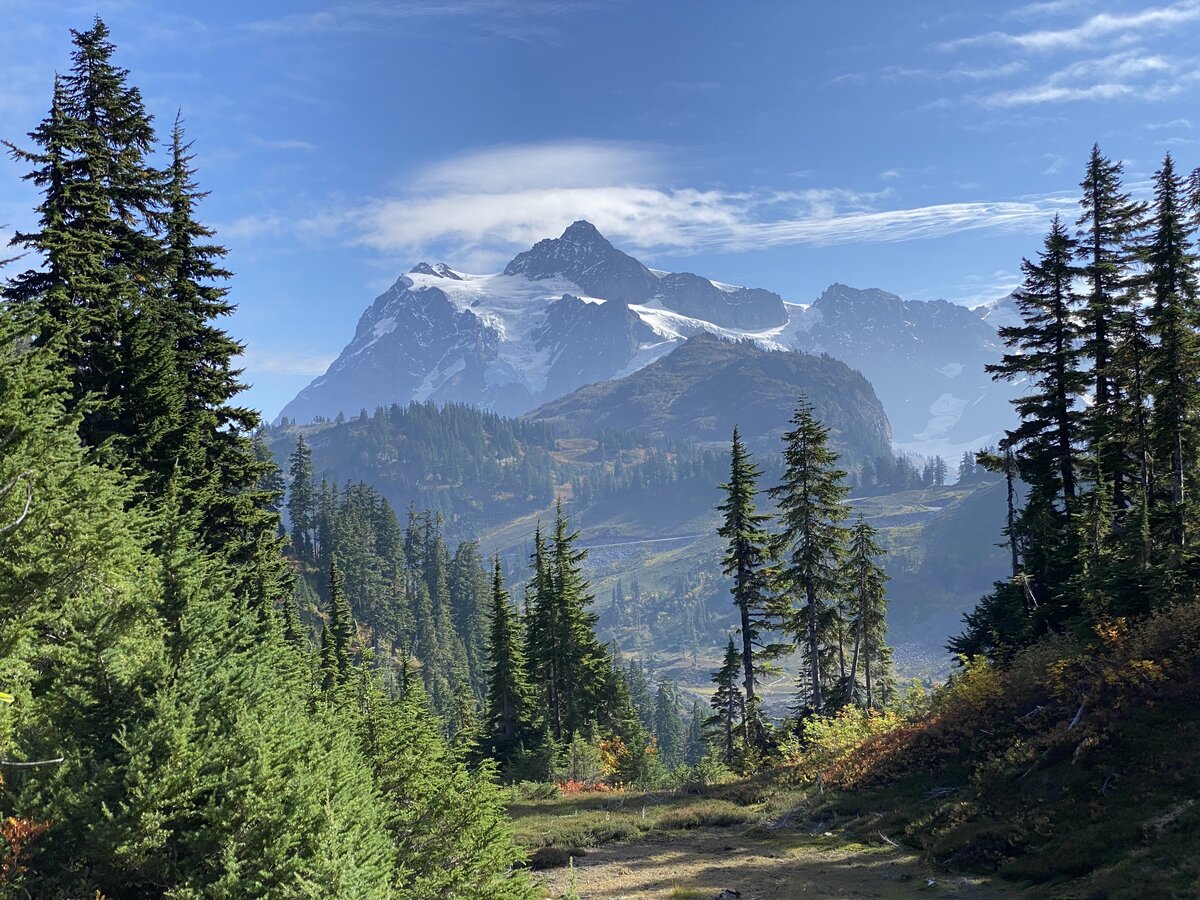Mount Shuksan rising above the trees in Washington.